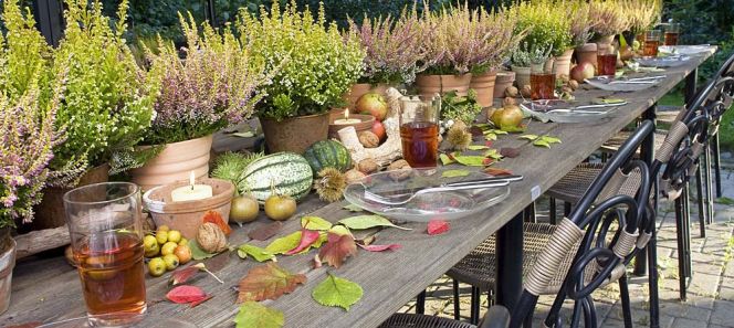 Verschiedene Heidepflanzen, bunte Blätter, stachelige Kastanien, Nüsse und Äpfel bei Kerzenschein: So bekommen die Gäste Lust auf Herbst.